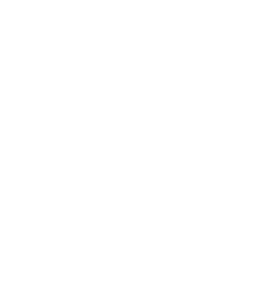 Soulfist