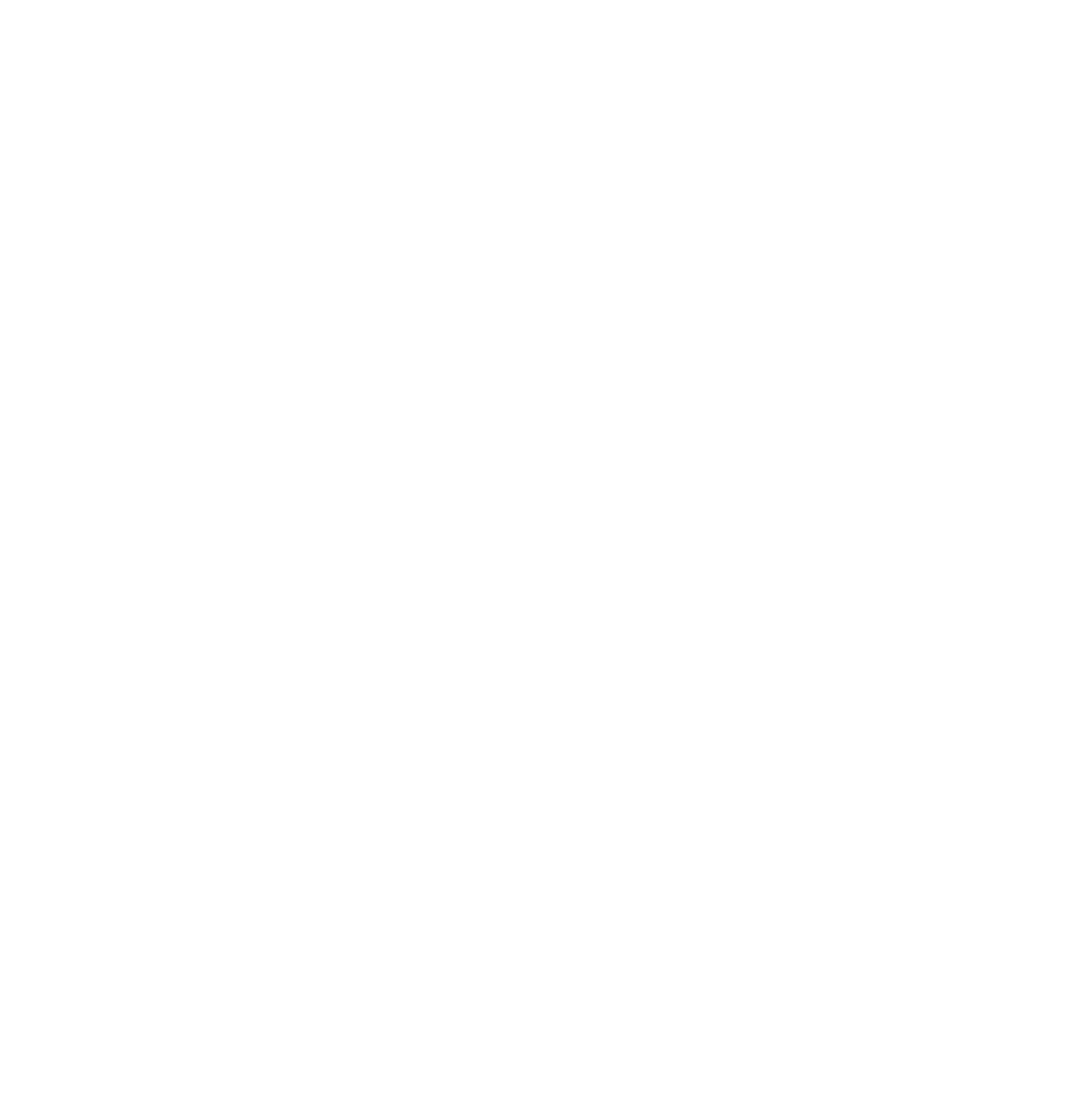 Gunslinger