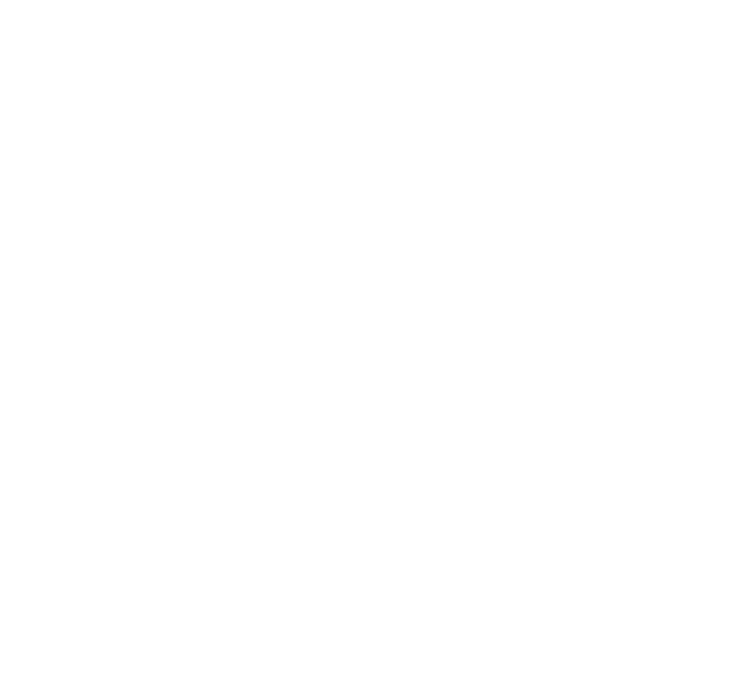 Paladin